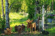 The Salmon Suite - Foto 3