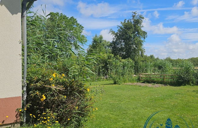 L'Amassoire - Photo 8