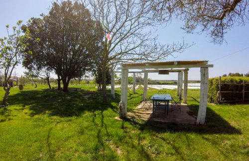 Villa Enli - Foto 34