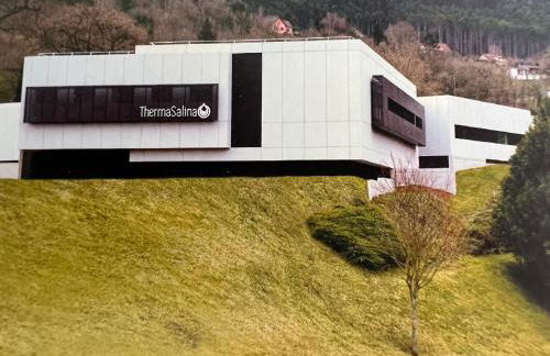 Le salinois - Foto 11