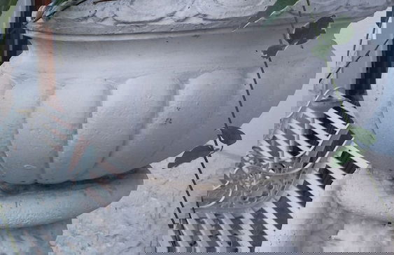 Villa Fiorita - Photo 58