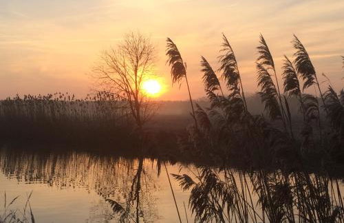 Ferienwohnung auf Pferdehof - Foto 20