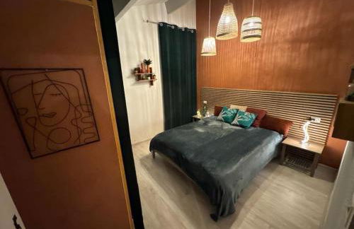 Casacoquelicot Un jardin sud-américain en Provence - Photo 2