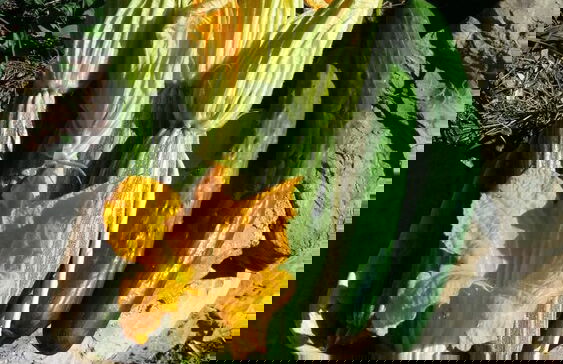 Charming 4-bed Cottage 15 Minutes From Florence - Foto 19