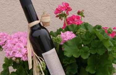 Cardinal Girolamo - Foto 70