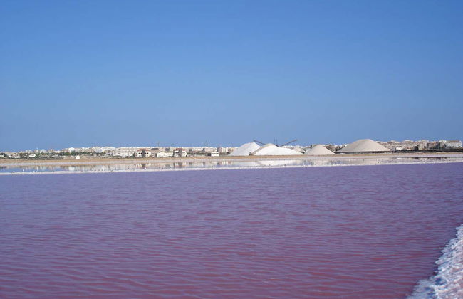 Visita guiada pelas salinas de Torrevieja - Foto 4