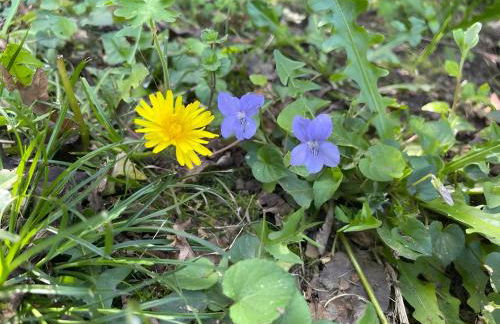 Casa do Alto (top floor apartment) - Foto 70