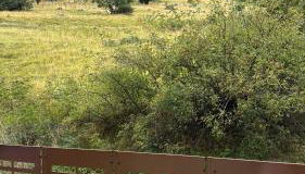 Nido Gran Sasso - Foto 5