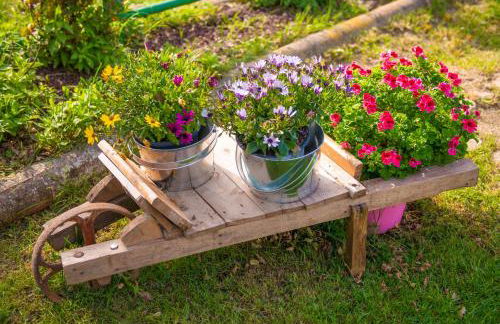 Complex Rural Can Caubet - Foto 100