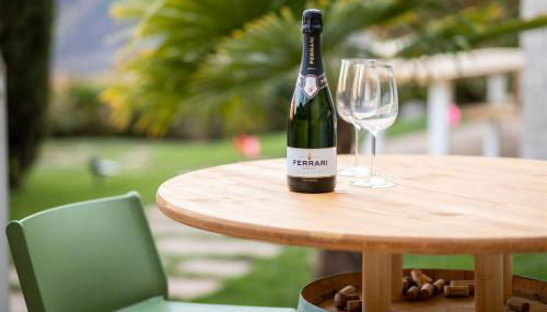 IseoLakeRental - Casa Amata - Foto 5, Garden