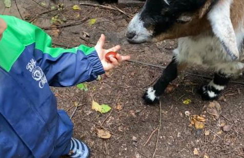 Ferienwohnung auf einem Resthof zentral gelegen mit viel Natur und Tieren - Foto 28