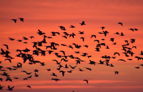 Fewo Nordseeblick - Foto 35