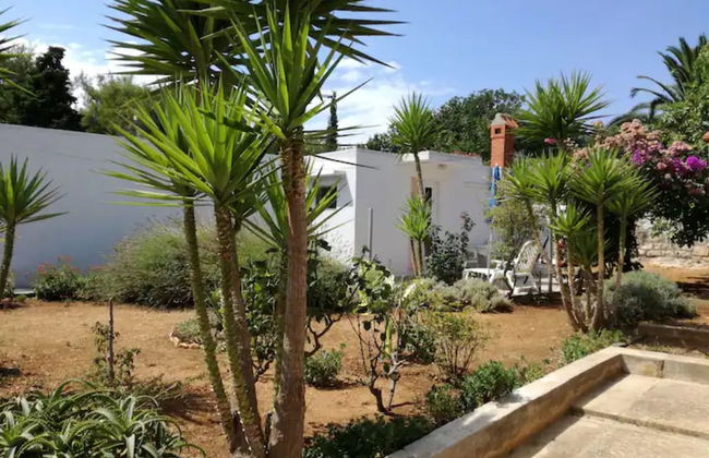 Cma-croatia Mediterranean Authenticity - Foto 16