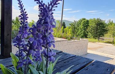 Kuća za odmor Hodak - Foto 1