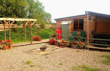 Beautiful Wooden tiny house, Glamping cabin with hot tub 2 - Foto 17