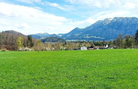 Ferienwohnungen „Zum Bauern“ - Foto 6