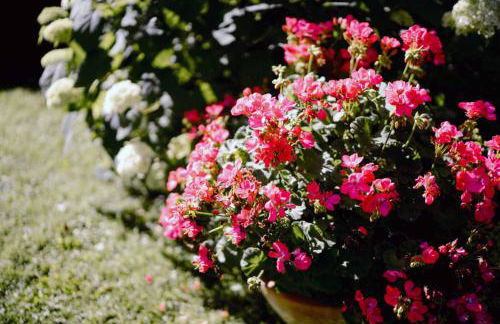 Ferienwohnung Radeberg - Foto 54