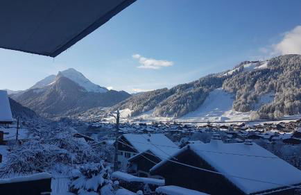 Résidence Julianna , trajets remontées mécaniques , livraison viennoiseries, piscine couverte - Foto 68