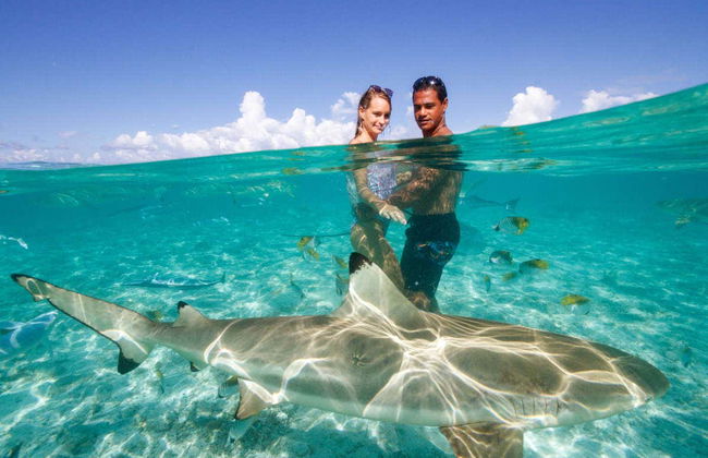 Bora Bora in 4x4 + Snorkeling con gli squali - Foto 4