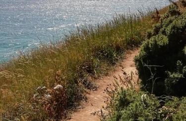 Les terrasses du Château - Foto 26