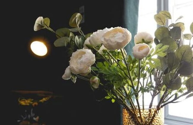 Designer Retreat 5 Location Balcony Parking - Photo 14