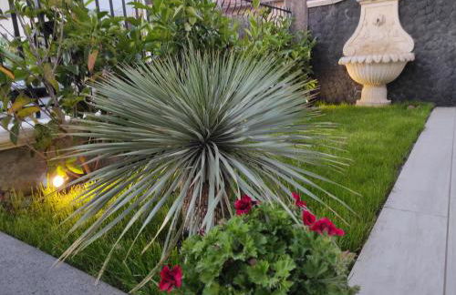 La Pigna dell'Etna - Foto 13