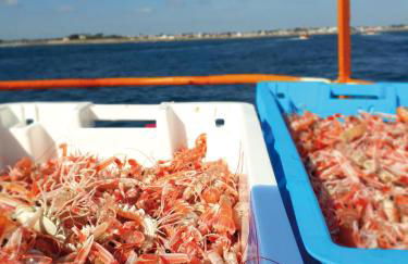 Guilvinec Parc Résidence - Photo 66