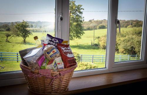 Glan Llyn Farm House - Foto 64