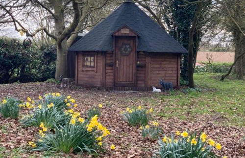 Starry Meadow & Rescued Animal Experiences - Foto 34