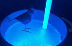 Ferien im Schwarzwald Dörlinbach II - Photo 43