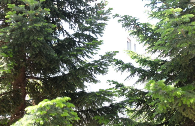 Elata-apartments - Foto 28