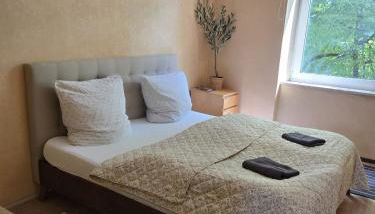 Casa Bonita - Foto 3