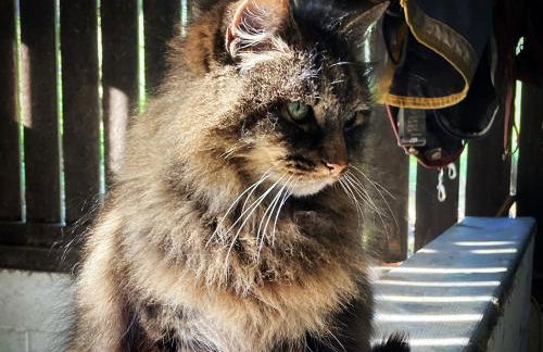 New Elms Farmhouse - Foto 57