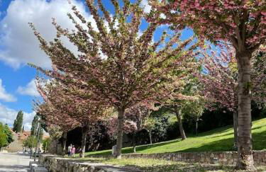 Dúplex Sierpes centro parking opcional - Foto 34