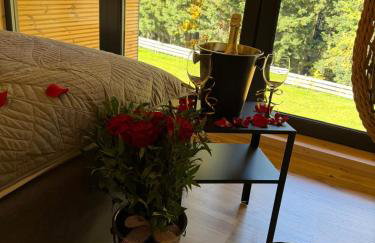 Honey House Wierchy- prywatna strefa SPA - Foto 33
