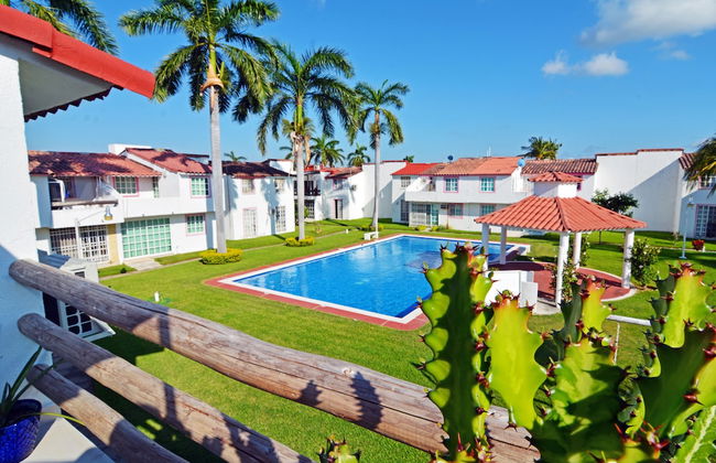 HominngBird - Foto 77