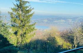 Domek z widokiem na jezioro Rożnowskie - Foto 32