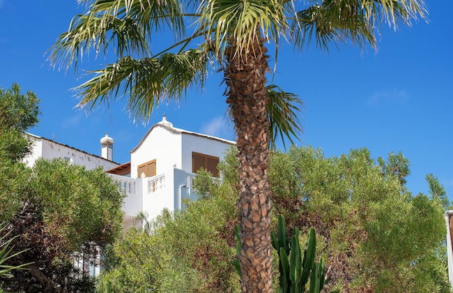 Apartamentos Camels Spring - Foto 46