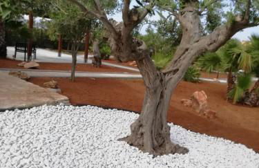 Il Corallo - Foto 41