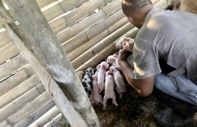 Sobral Rice Terraces View - Foto 47