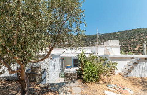 Andros Traditional House - Foto 26