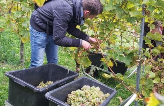 Apartment in Oberkirch - Foto 14