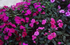 Agriturismo Antica Casa Scardone - Foto 61