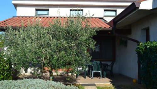 Terra del Carso - Foto 4