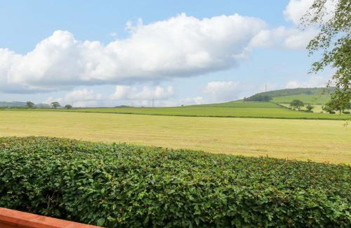 12 Field View - Foto 35