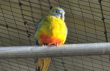 Nid du merle avec sauna et jacuzzi privatif - Foto 55