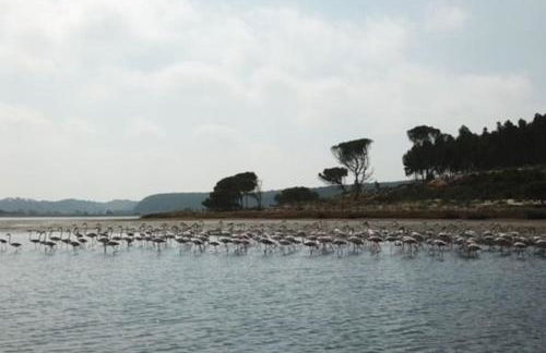 Casa da alegria - Foto 36