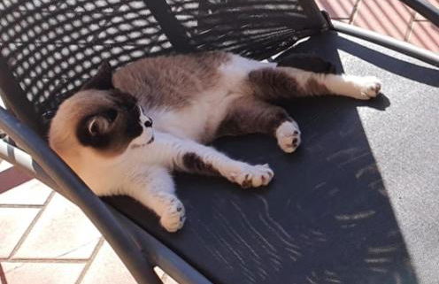 Casa Benucci Oliveta Tuscany - Foto 32