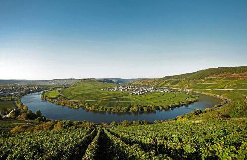 Moselhaus by Clüsserath-Wittmann - Foto 12