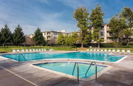 Modern Bayview Apartment by the Water - Foto 7